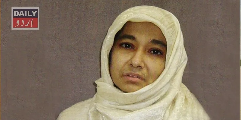 کورٹس