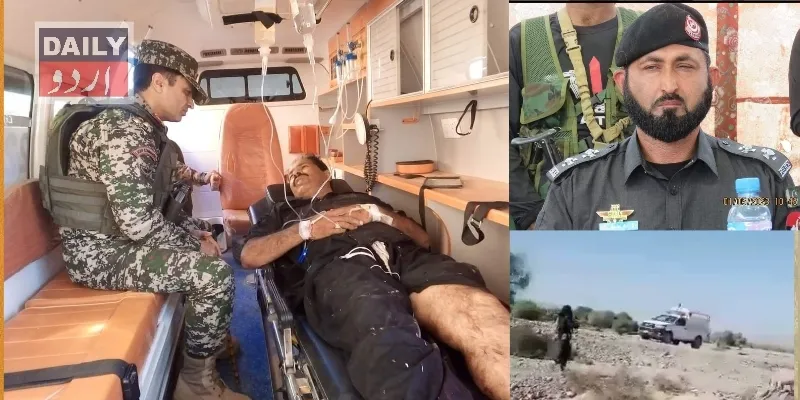 دہشتگردی