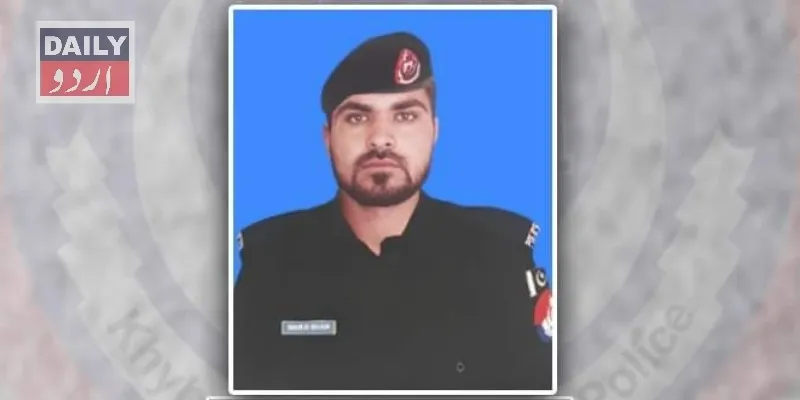 دہشتگردی