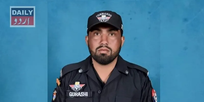دہشتگردی