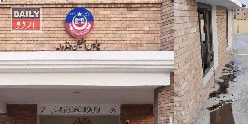 دہشتگردی