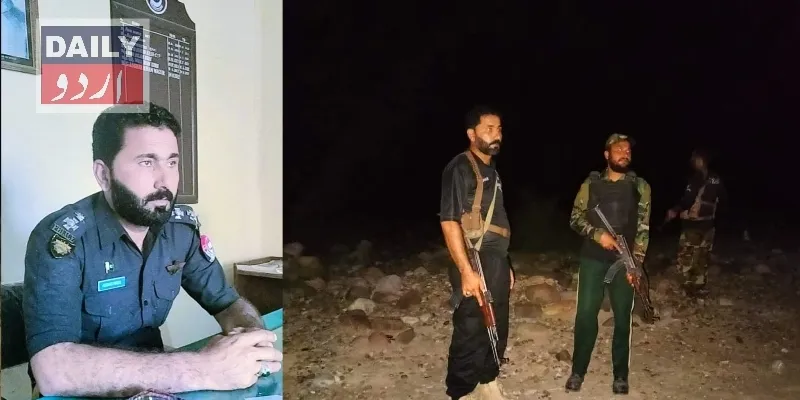 دہشتگردی