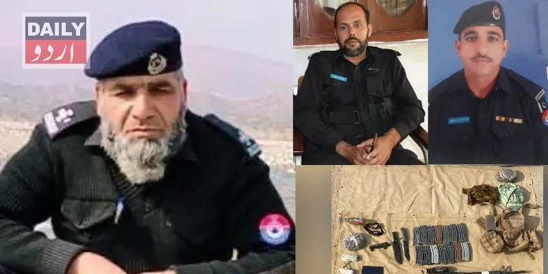 دہشتگردی