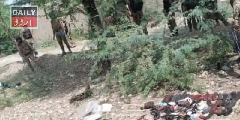 دہشتگردی