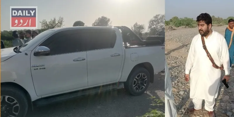 سیاست