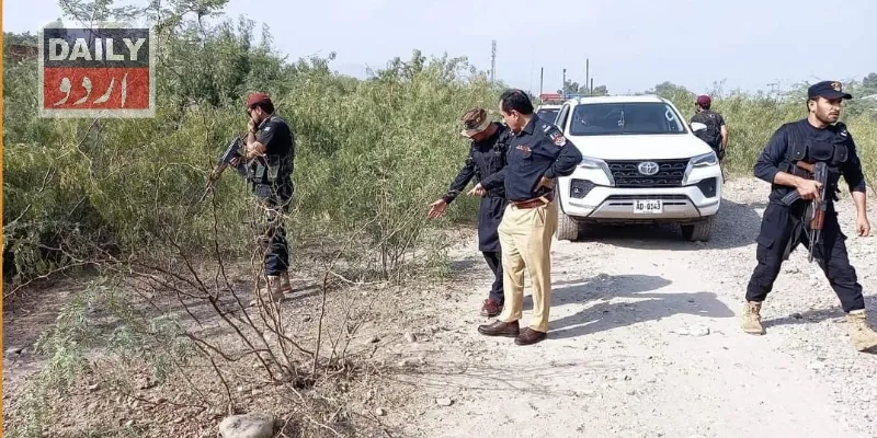 دہشتگردی