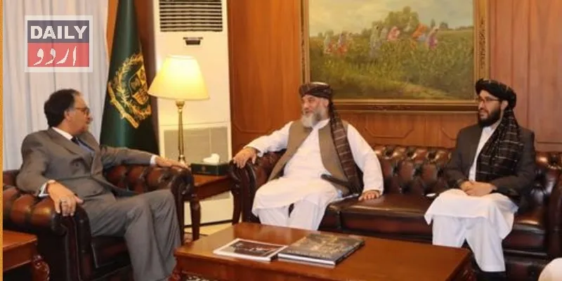 دہشتگردی