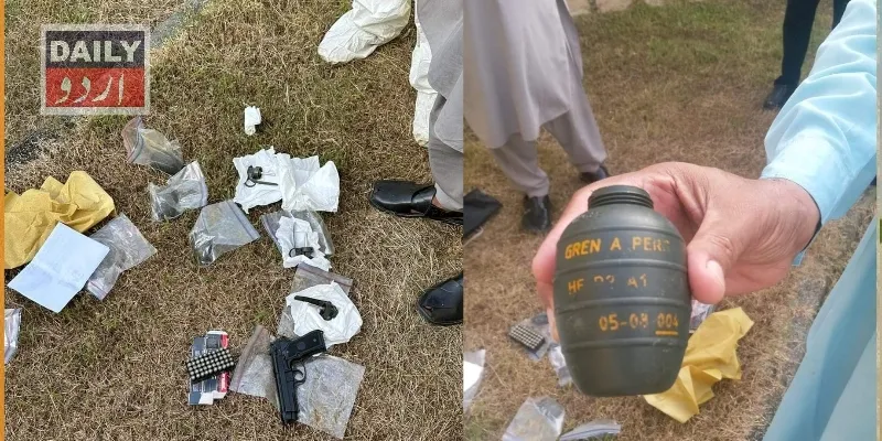 دہشتگردی
