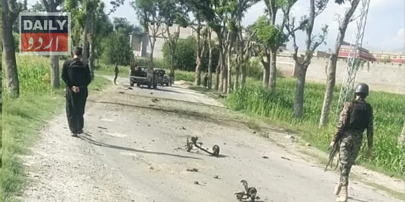 دہشتگردی