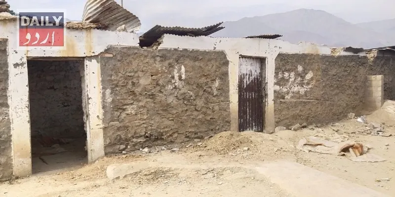 دہشتگردی