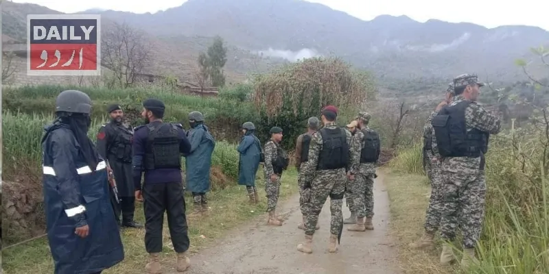 دہشتگردی