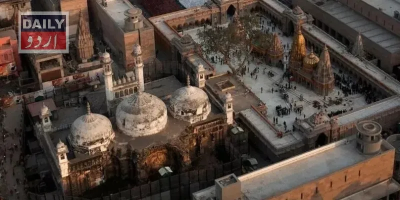 کورٹس