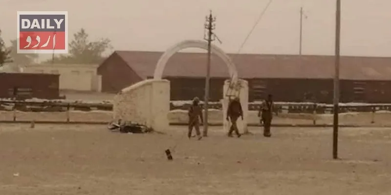 دہشتگردی