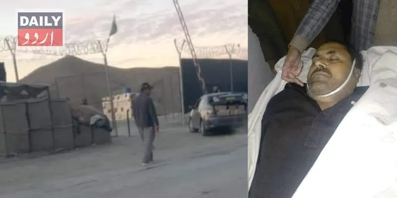 دہشتگردی