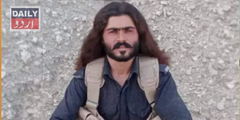 دہشتگردی