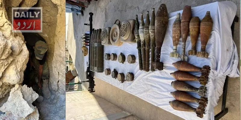 دہشتگردی
