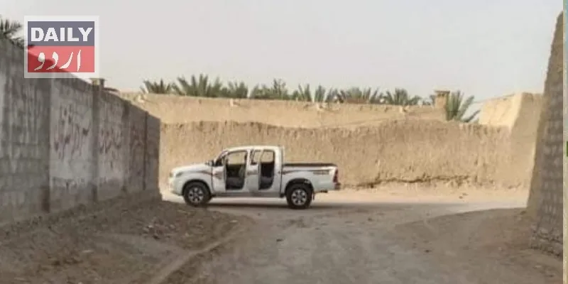 دہشتگردی