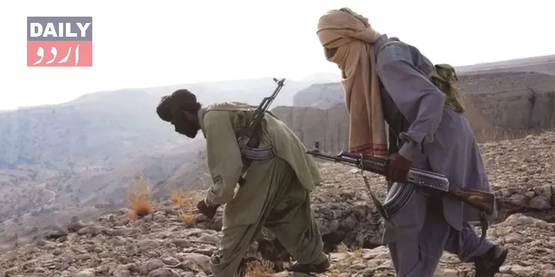 دہشتگردی