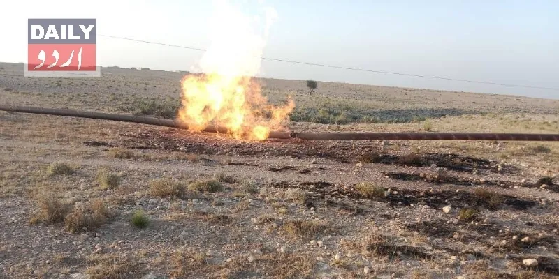 دہشتگردی