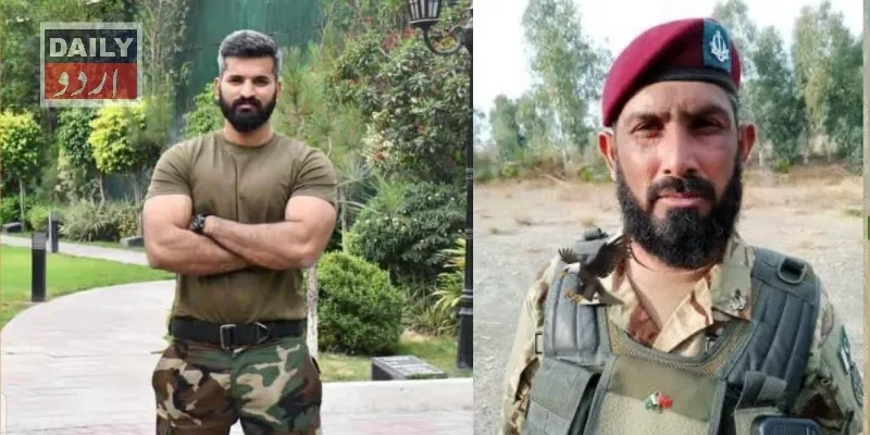 دہشتگردی
