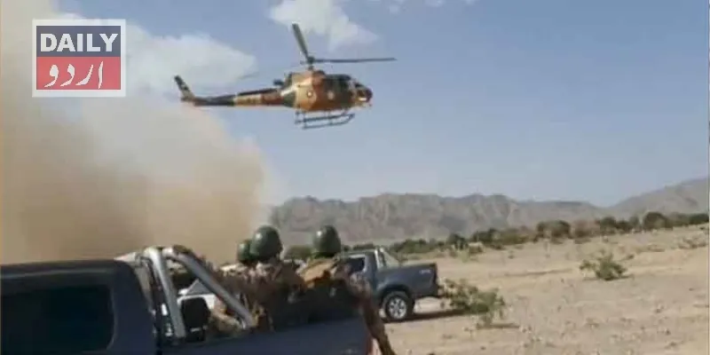 دہشتگردی