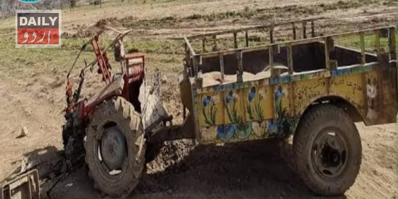 دہشتگردی