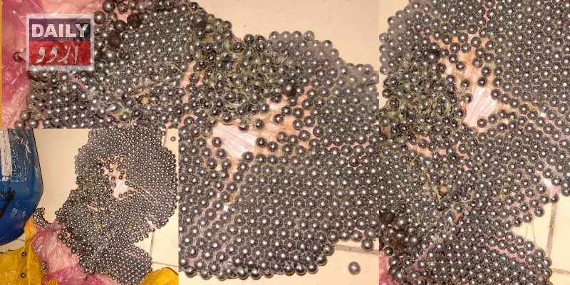 دہشتگردی