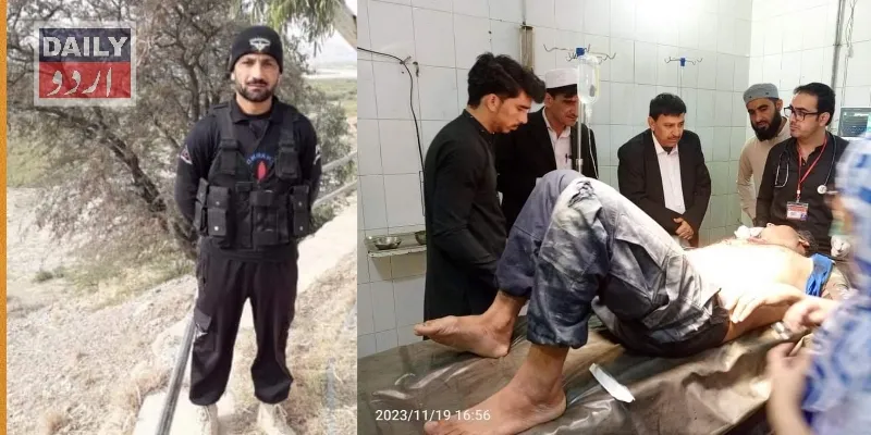 دہشتگردی