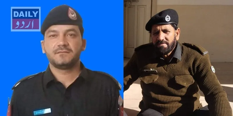 دہشتگردی