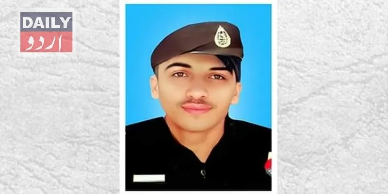 دہشتگردی