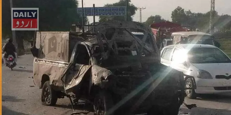 دہشتگردی