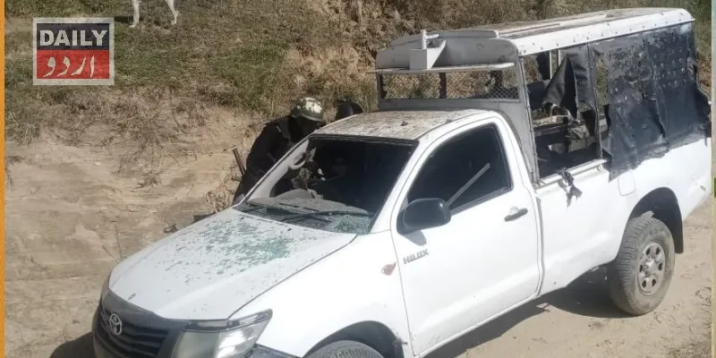 دہشتگردی