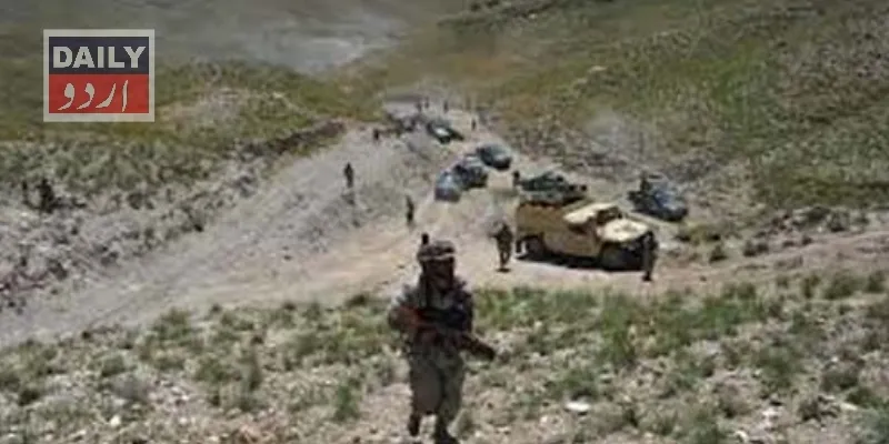 دہشتگردی