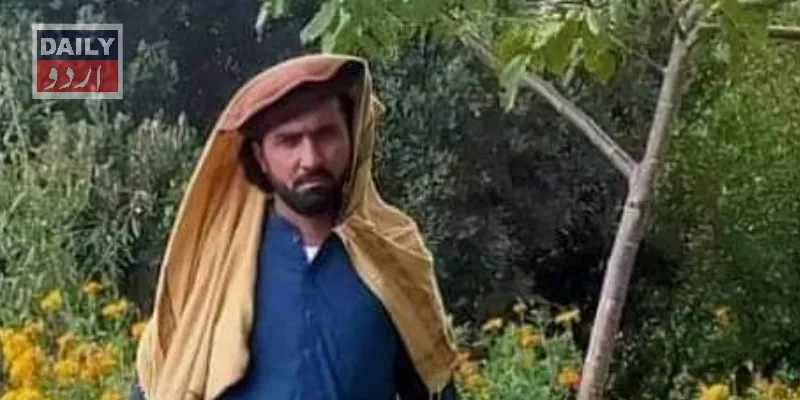 دہشتگردی