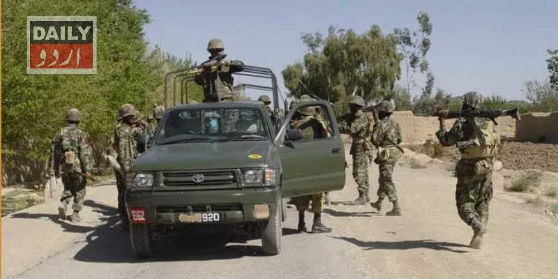 دہشتگردی