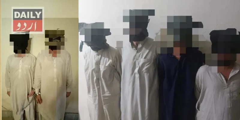 دہشتگردی