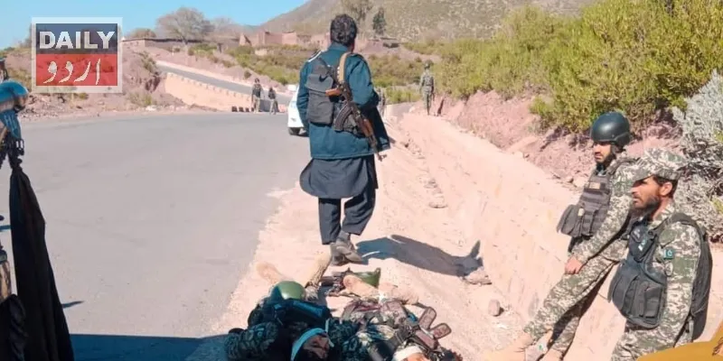 دہشتگردی