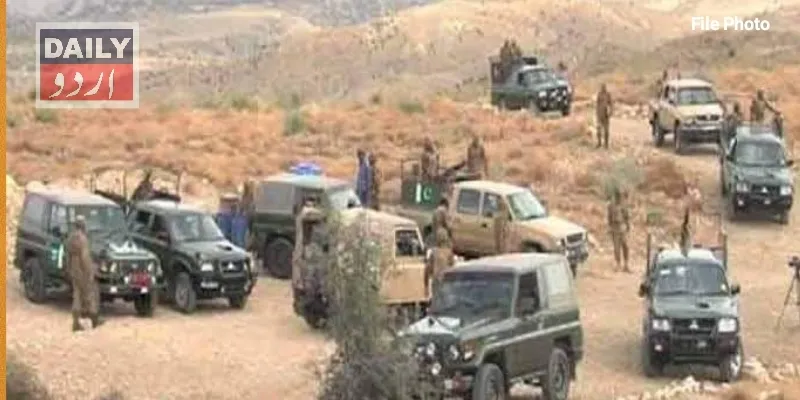 دہشتگردی