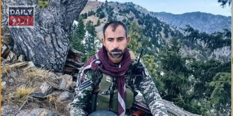 دہشتگردی