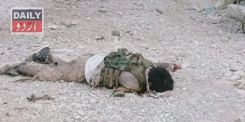 دہشتگردی