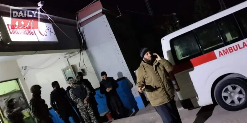 دہشتگردی