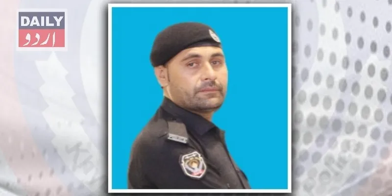 دہشتگردی