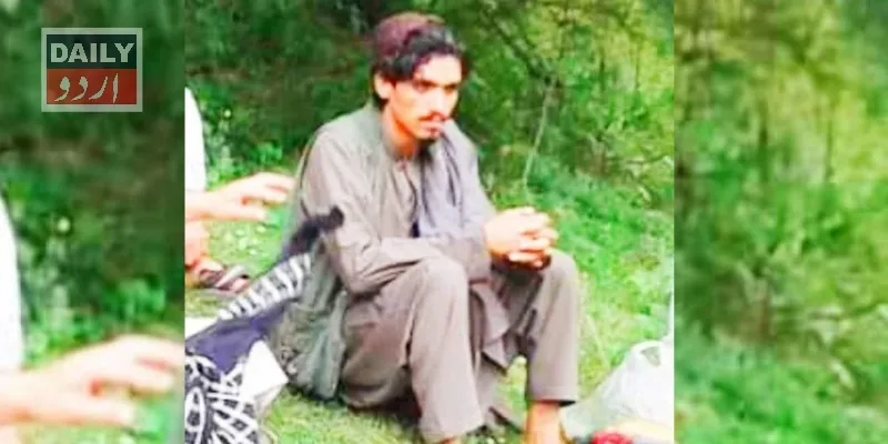 دہشتگردی