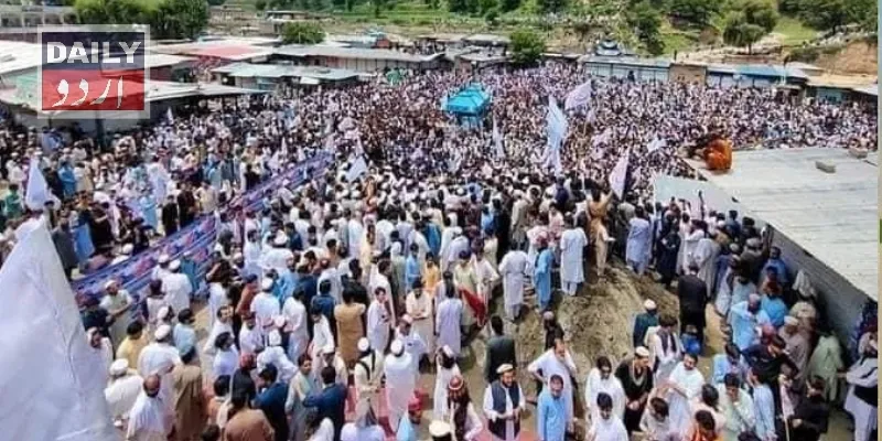 دہشتگردی
