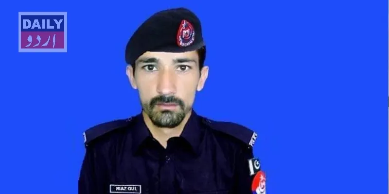 دہشتگردی