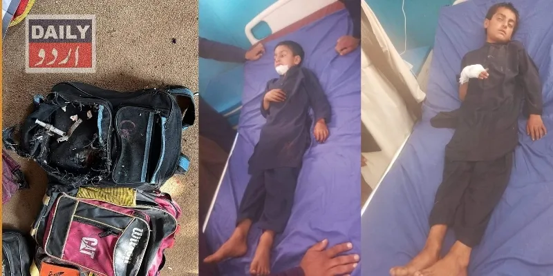 دہشتگردی