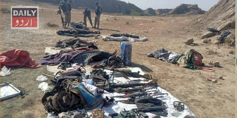دہشتگردی