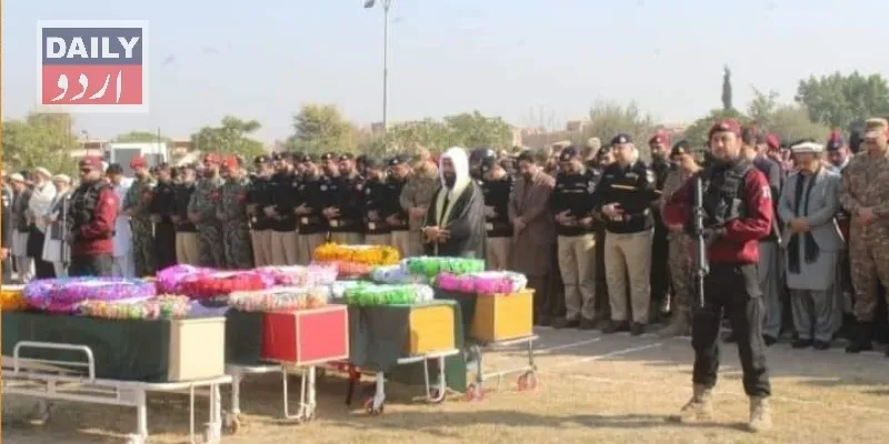 دہشتگردی
