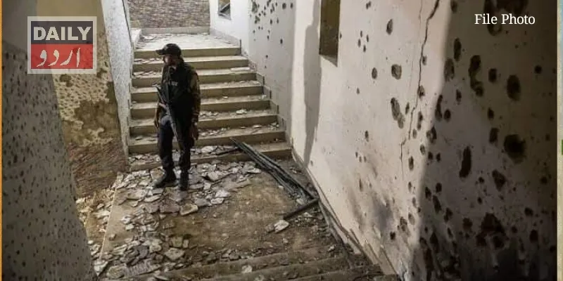 دہشتگردی