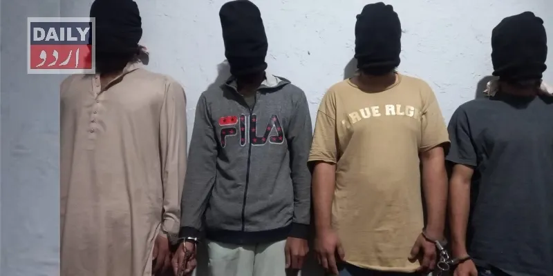 دہشتگردی